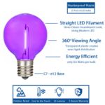 Purple - G40 - Plastic Filament LED Replacement Bulbs - 25 Pack