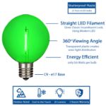 Green LED G50 Plastic Filament LED Globe Bulbs - 25pk