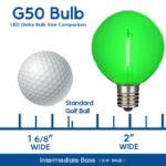 Green LED G50 Plastic Filament LED Globe Bulbs - 25pk
