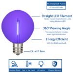 Purple LED G50 Plastic Filament LED Globe Bulbs - 25pk