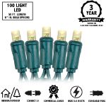Commercial Grade Wide Angle 100 LED Warm White 50' Long on Green Wire