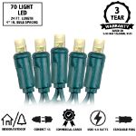 Commercial Grade Wide Angle 70 LED Warm White 24' Long on Green Wire