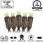 50 LED Warm White LED Christmas Lights 11' Long on Brown Wire