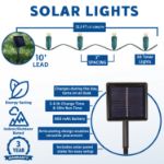 Warm White LED Solar Powered Lights 50 Light String 3" Spacing Green Wire