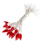 25 Red & Warm White Ceramic LED C9 Pre-Lamped String Lights White Wire