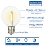 67 LED Filament G50 Globe String Light Set with Warm White Bulbs on Green Wire