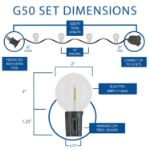 67 LED Filament G50 Globe String Light Set with Warm White Bulbs on Green Wire