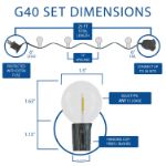 25 LED Filament G40 Globe String Light Set with Warm White Bulbs on Green Wire