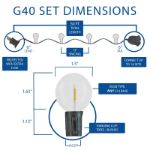 50 LED Filament G40 Globe String Light Set with Warm White Bulbs on Green Wire