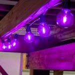 Purple LED G50 Plastic Filament LED Globe Bulbs - 25pk