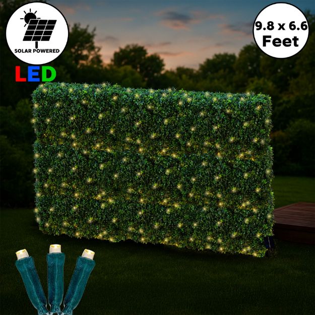 Solar LED Warm White Net Lights 9.8' x 6.6' Green Wire