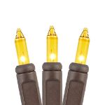 Non Connectable Yellow Brown Wire Mini Lights 20 Light 8.5'