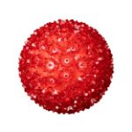 Coaxial 100 Red LED 7.5" Sphere