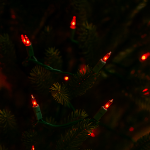 Red 50 Light 11' Long Green Wire Christmas Mini Lights