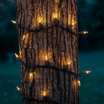 Brown Wire Clear Christmas Mini Lights 50 Light 11 Feet Long