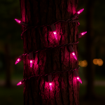 Pink Christmas Mini Lights 50 Light on Brown Wire 11 Feet Long