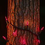 Purple Christmas Mini Lights 50 Light on Brown Wire 11 Feet Long