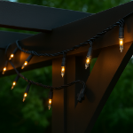 Black Wire Clear Christmas Mini Lights 50 Light 11 Feet Long
