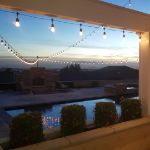 25 LED S14 Warm White Commercial Grade Suspended Light String Set on 37.5' of Black Wire 