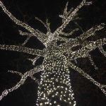 50 LED Pure White LED Christmas Lights 11' Long on Brown Wire