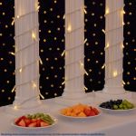 20 Light Warm White LED Mini Lights White Wire