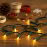 10 Light Warm White LED Mini Lights Green Wire