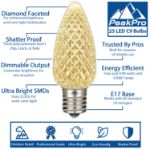 PeakPro Warm White C9 LED Replacement Bulbs 25 Pack 