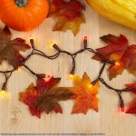 10 Light Non Connectable Yellow/Red/Orange  LED Mini Lights Brown Wire