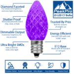 PeakPro Purple C7 LED Replacement Bulbs 25 Pack