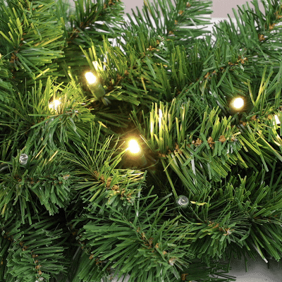 *NEW* TrueTwinkle® LED Christmas Lights 50 LED Red 25' Long Green Wire