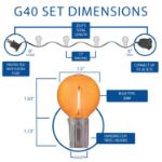 25 LED Filament G40 Globe String Light Set with Transparent Orange Bulbs on Brown Wire