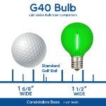 25 LED Filament G40 Globe String Light Set with Transparent Yellow, Purple & Green Bulbs on Green Wire