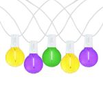 25 LED Filament G40 Globe String Light Set with Transparent Yellow, Purple & Green Bulbs on White Wire