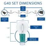 25 LED Filament G40 Globe String Light Set with Transparent Orange, Green & White Bulbs on Green Wire