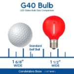 25 LED Filament G40 Globe String Light Set with Transparent Red, White & Blue Bulbs on White Wire