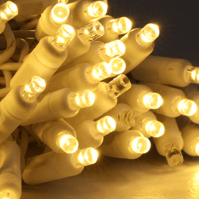Twinkle LED Christmas Lights 50 LED Warm White 25' Long Green Wire