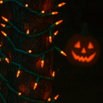 RetroGlo® Orange Ceramic Mini Lights 50 Light on Green Wire 11 Feet Long