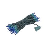 Blue 50 Light 25' Long Green Wire Christmas Mini Lights