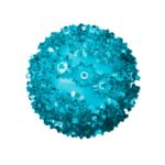 50 Teal LED 6" Sphere