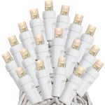 Commercial Grade Wide Angle 50 LED Old Color Warm White (19WW) 25' Long on White Wire