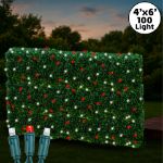 Red & Pure White LED Net Lights 4x6 Green Wire