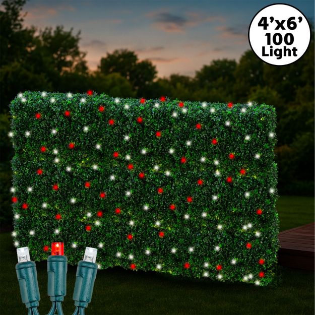 Red & Pure White LED Net Lights 4x6 Green Wire