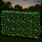 Red & Warm White LED Net Lights 4x6 Green Wire