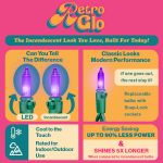 RetroGlo® Multi Color Mini Lights 100 Light on Green Wire 50 Feet Long