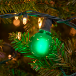 RetroGlo® Green Satin G40 Globe Bulbs 25 Pack