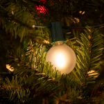 RetroGlo® Warm White Satin G40 Globe Bulbs 25 Pack