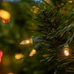 RetroGlo® Clear Mini Lights 100 Light on White Wire 22 Feet Long