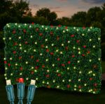 Red & Warm White LED Net Lights 4x6 Green Wire