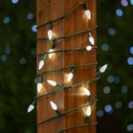 Coaxial Pure White 100 LED C6 Strawberry Mini Lights Commercial Grade on Green Wire