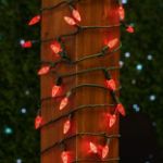 Coaxial *NEW* TrueTwinkle® Red 70 LED C6 Strawberry Mini Lights Commercial Grade on Green Wire